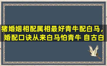 猪婚姻相配属相最好青牛配白马，婚配口诀从来白马怕青牛 自古白马怕青牛顺口溜